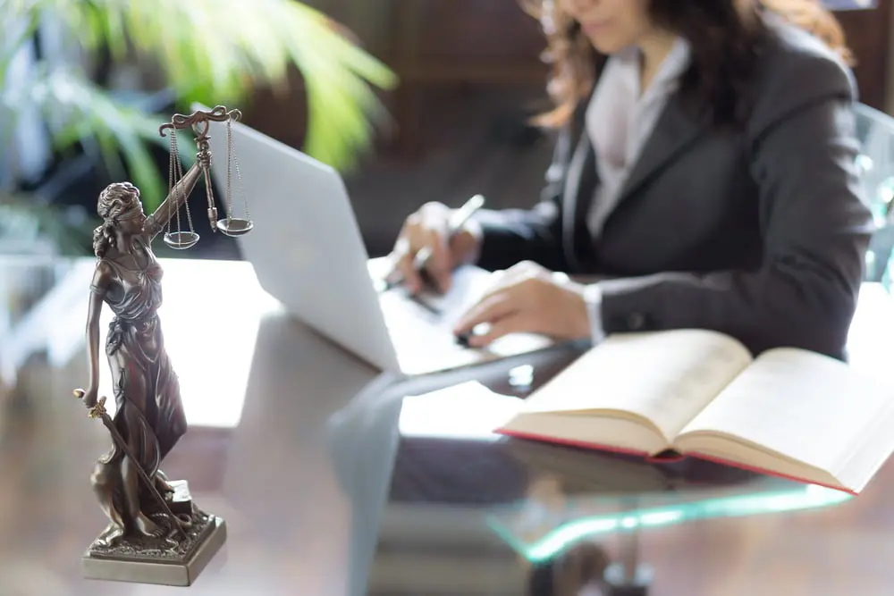 Legal professional working on a case